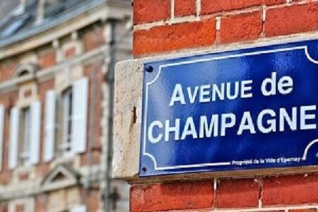 Apartament Le Louis Pasteur 4 Premium Épernay Zewnętrze zdjęcie